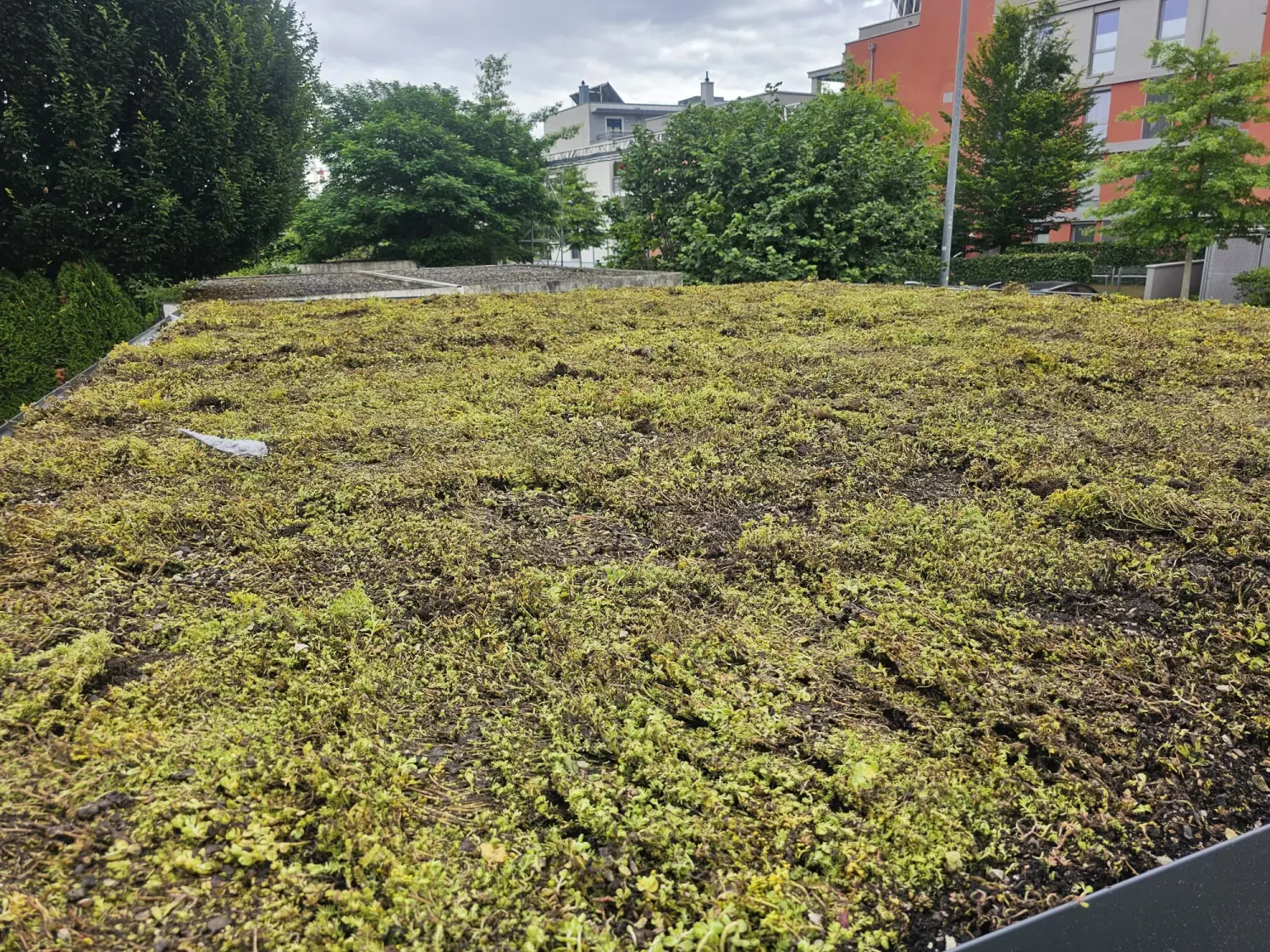Carport / Vordachmontage Rottenburg